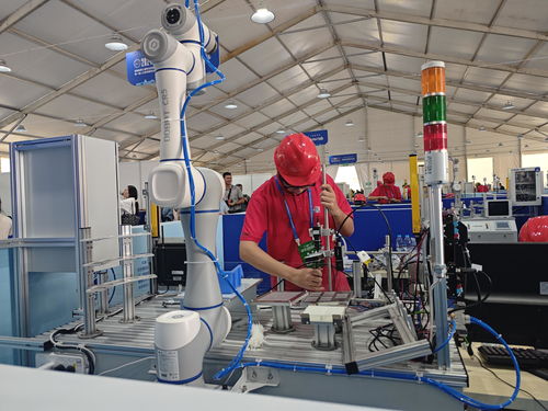 河南省第三屆職業技能大賽在開封開幕，技術服務引領未來